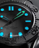 Seamaster Diver 300M